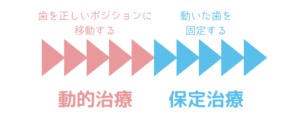 歯を正しいポジションに移動する。その後動いた歯を固定する